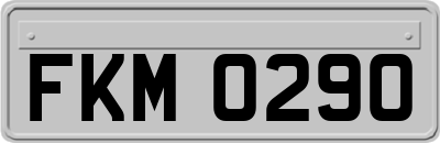 FKM0290
