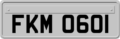 FKM0601