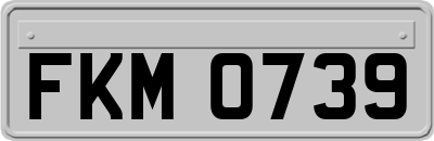 FKM0739