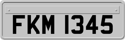 FKM1345