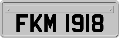 FKM1918
