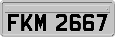 FKM2667