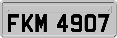 FKM4907