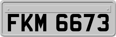 FKM6673