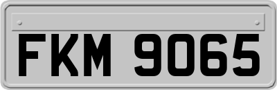 FKM9065