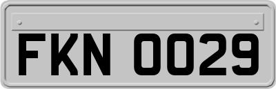 FKN0029