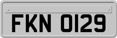 FKN0129