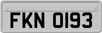 FKN0193