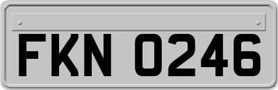FKN0246