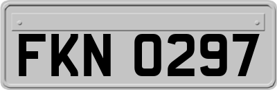 FKN0297