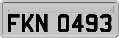 FKN0493