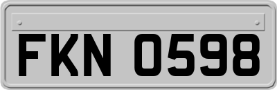 FKN0598