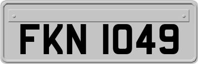 FKN1049