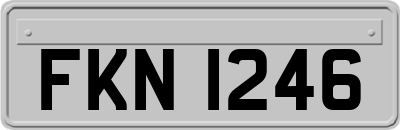 FKN1246