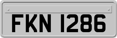 FKN1286