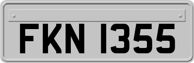 FKN1355
