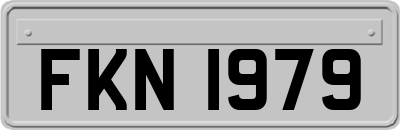 FKN1979