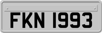 FKN1993