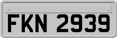 FKN2939