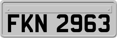 FKN2963