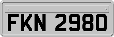 FKN2980