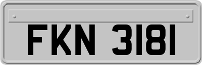 FKN3181