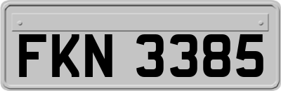 FKN3385