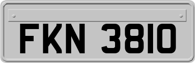 FKN3810