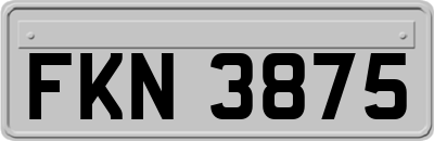 FKN3875