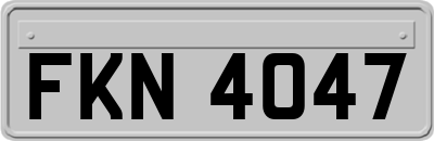 FKN4047