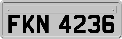 FKN4236