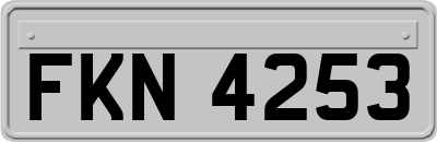 FKN4253
