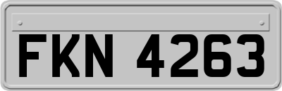 FKN4263