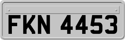 FKN4453