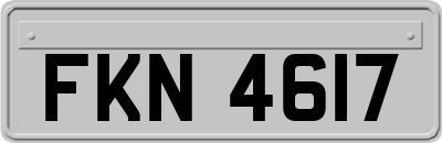 FKN4617