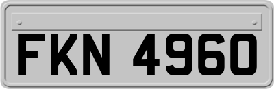 FKN4960