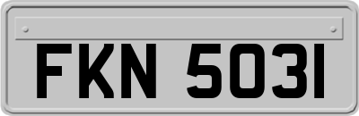 FKN5031
