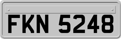FKN5248
