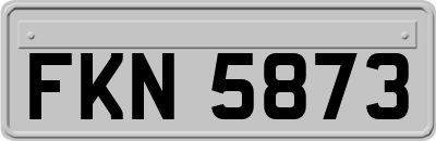 FKN5873