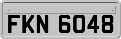 FKN6048