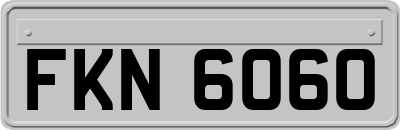 FKN6060