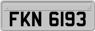 FKN6193