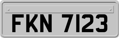 FKN7123