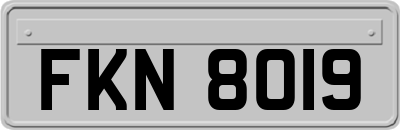 FKN8019