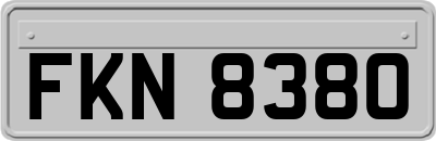 FKN8380