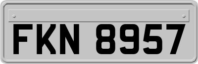 FKN8957