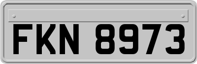 FKN8973