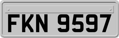 FKN9597