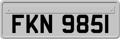 FKN9851
