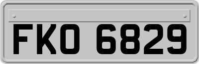 FKO6829